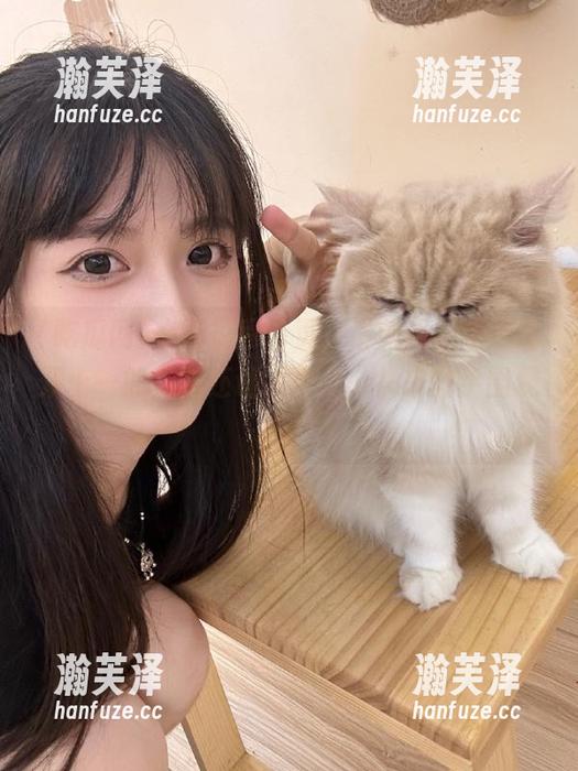 吃瓜网 在吃瓜网首页,最新明星动态比双十一的折扣还让人心动,快来剁手围观吧!