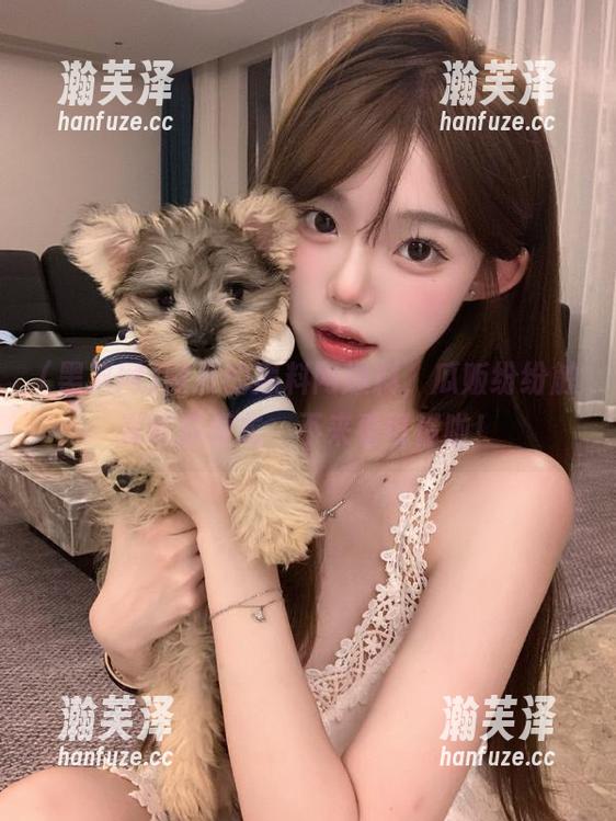网页的黑料网爆料，瓜贩纷纷触发吃瓜模式，不来看可惜啦！